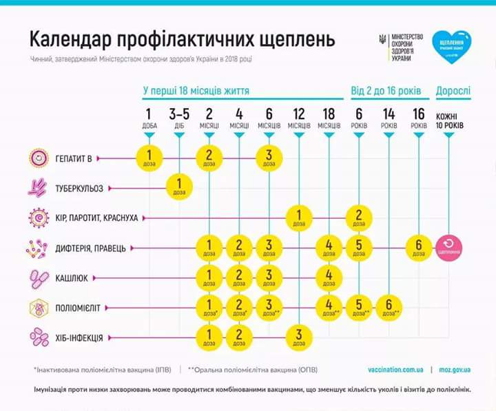 Календар профілактичних щеплень