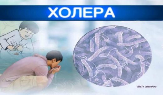 Холера