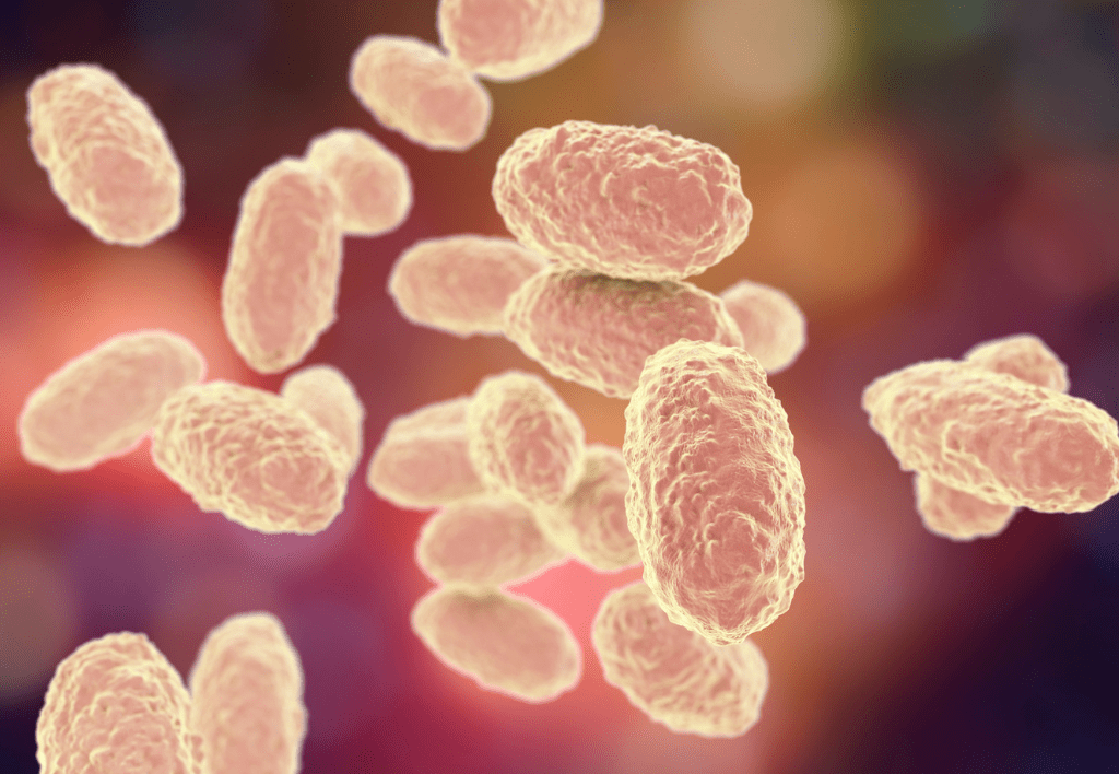 Кашлюк “дуже заразний” і особливо небезпечний для немовлят